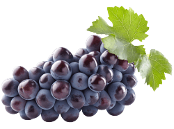 grape