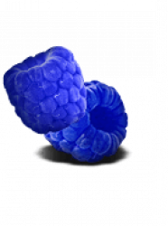 Blue Raspberry Flavor